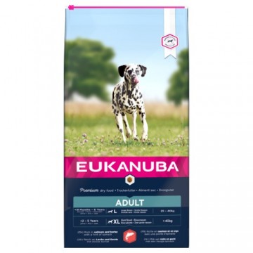 Eukanuba adult large salmon en barley 12 kg
