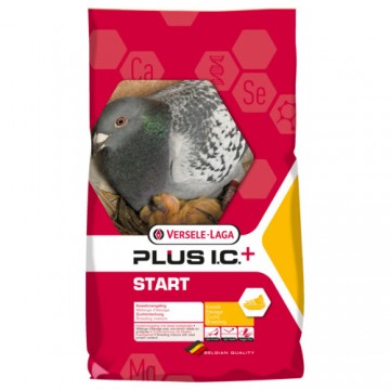 Start kweekmengeling