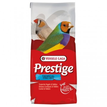 Tropische vogels 20 kg