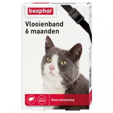 Vlooienband 6 maanden